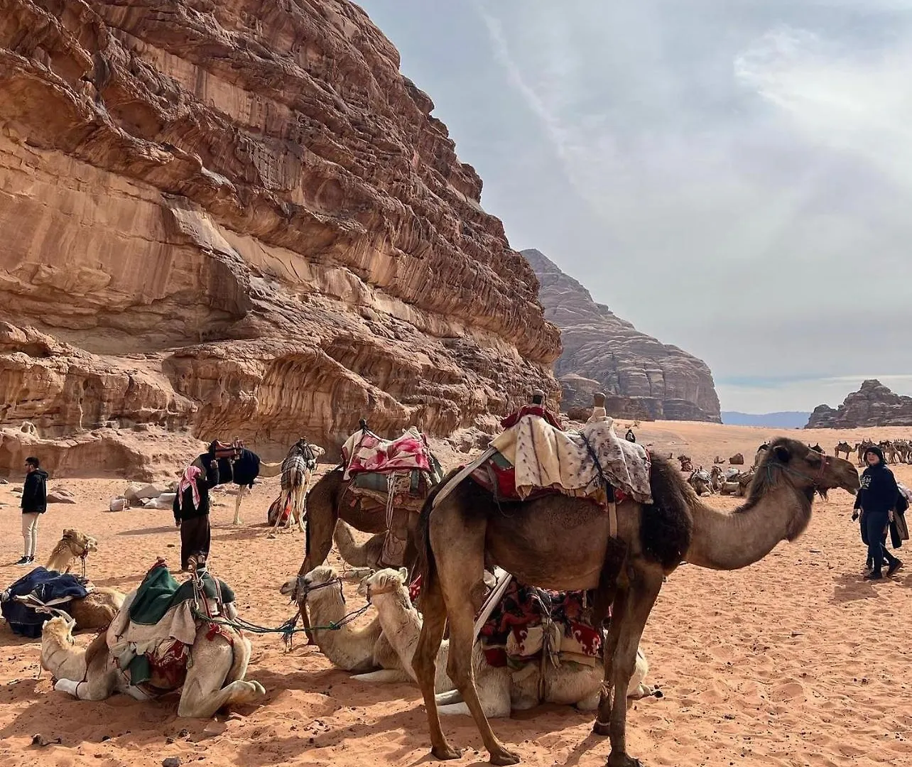 Wadi Rum Desert Camp Ad Disah Otel