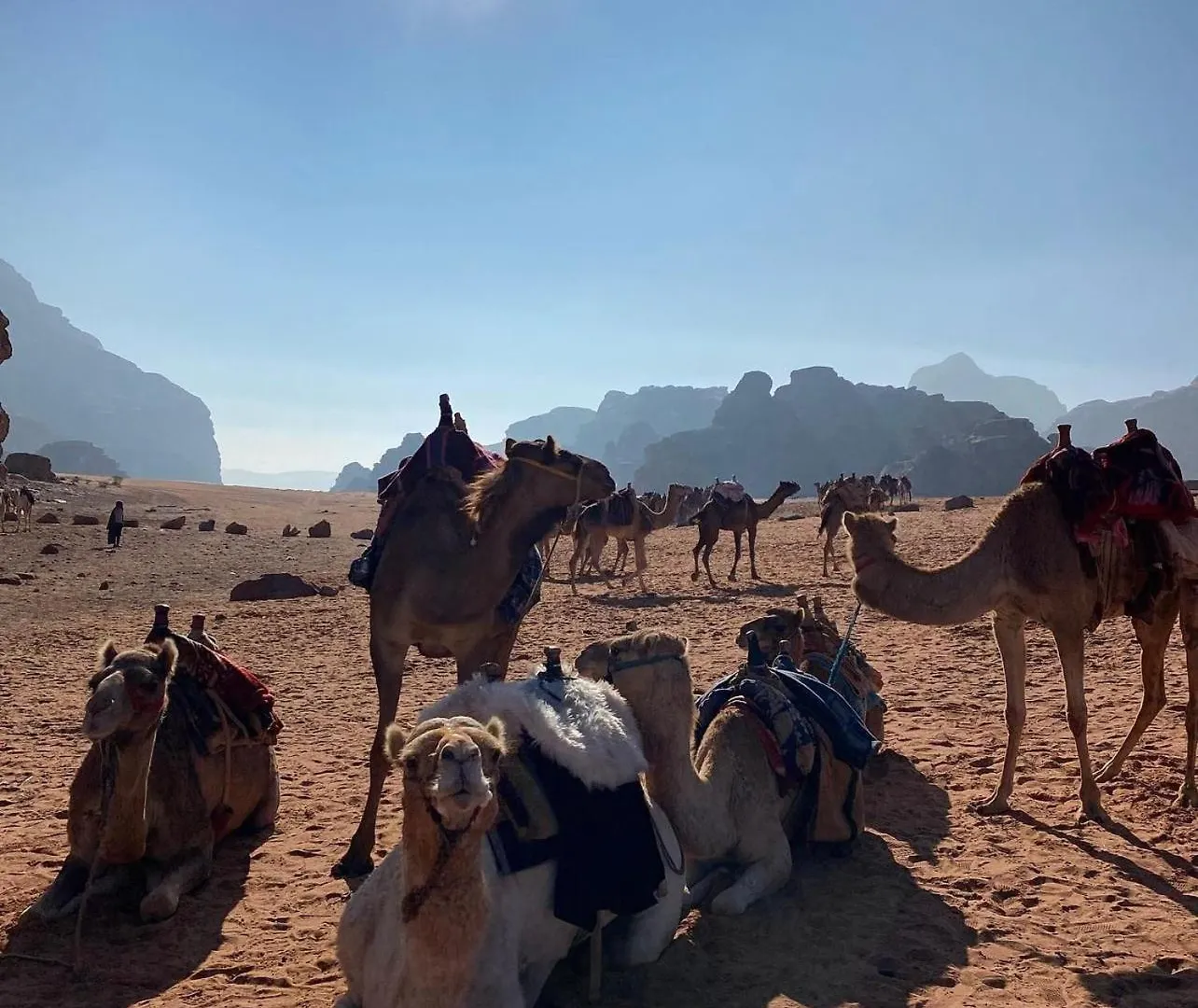 Wadi Rum Desert Camp Ad Disah 5*,